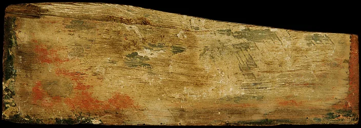 Decorated Ceiling Panel